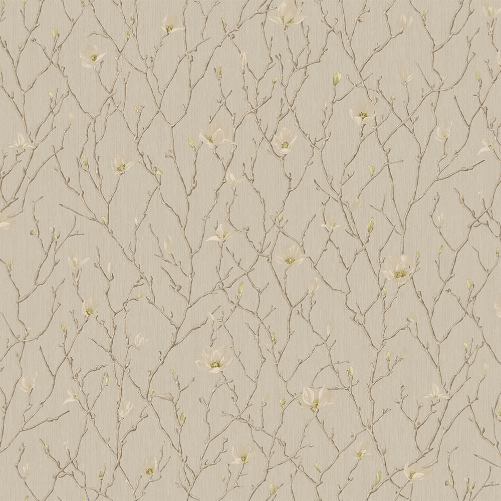 Branches of Tree in Blossom - SW17800