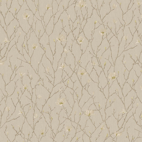 Branches of Tree in Blossom - SW17800