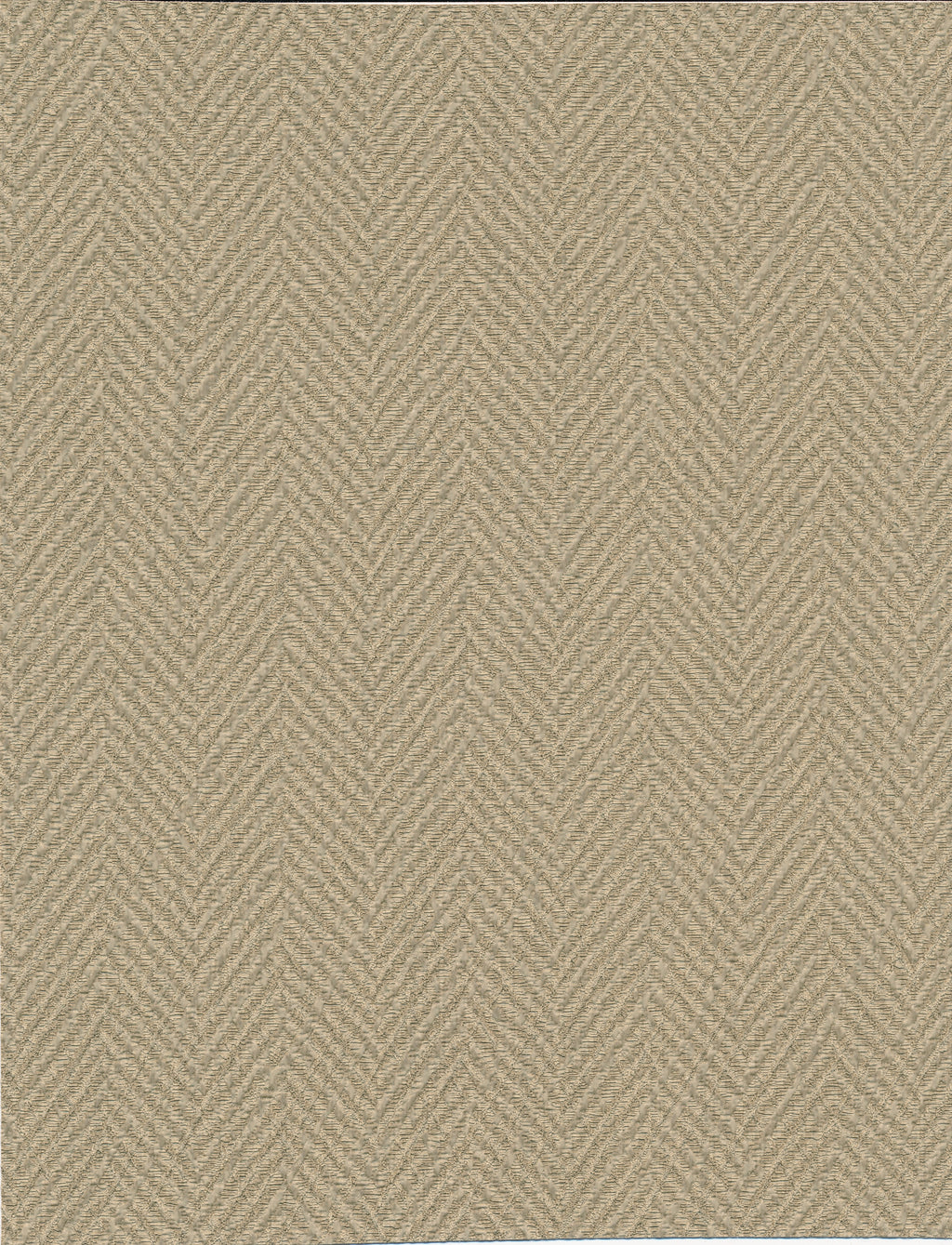 Biscotti Commercial Vinyl Wallcoverings